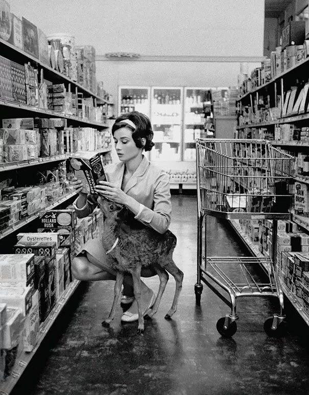 Audrey Hepburn shopping with her pet Deer therabouts 1958