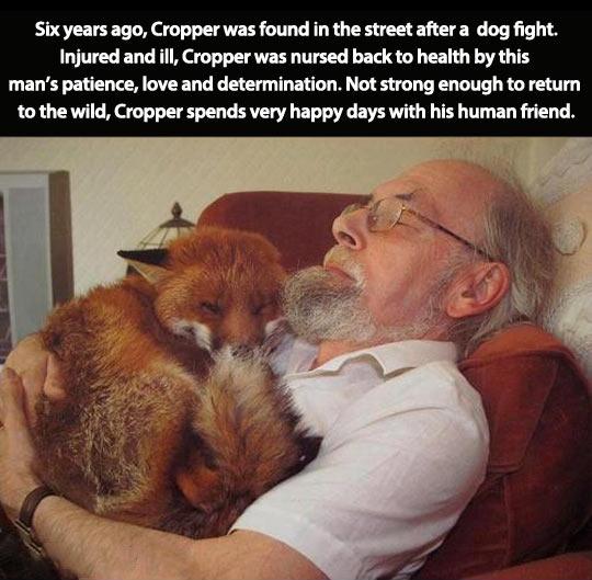 Cooper spends very happy days with his human friend.