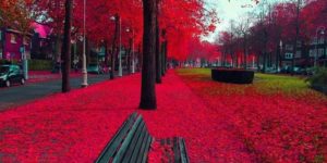 Red Fall