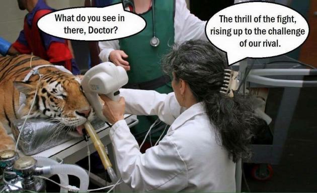 What do you see, doc?