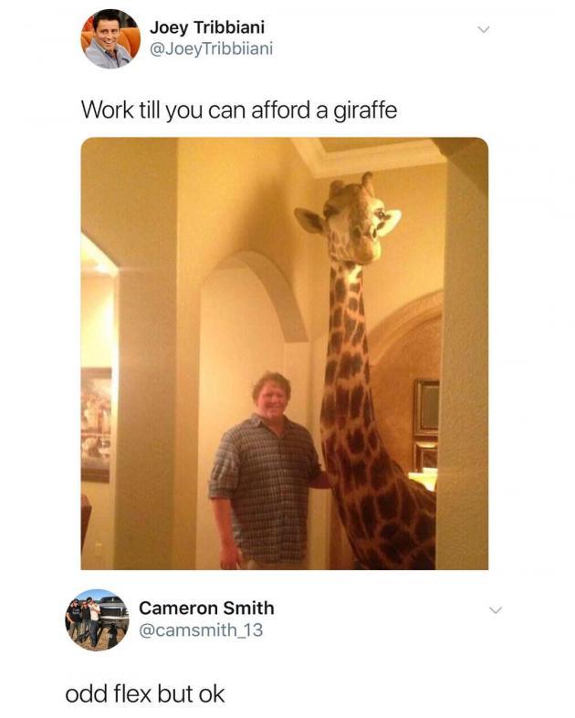 Giraffe goals.