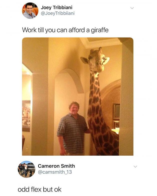 Giraffe goals.