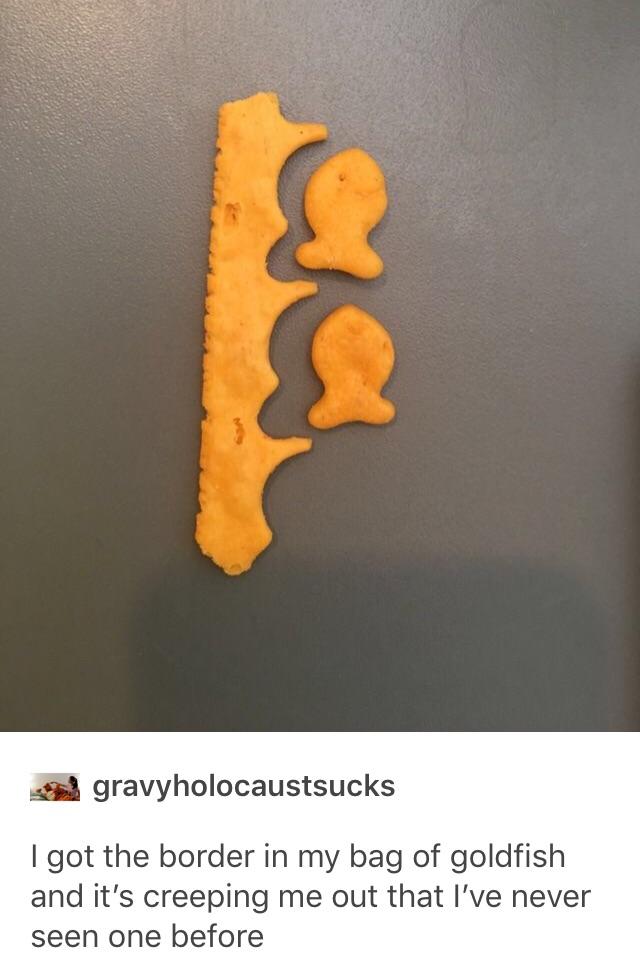 Wasting a lot of goldfish meat