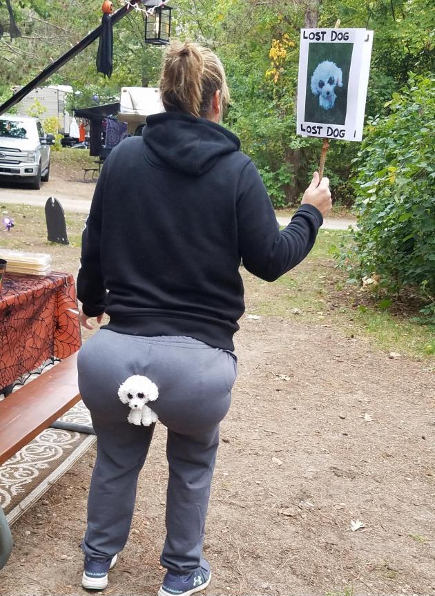 Lost my dog on Halloween.