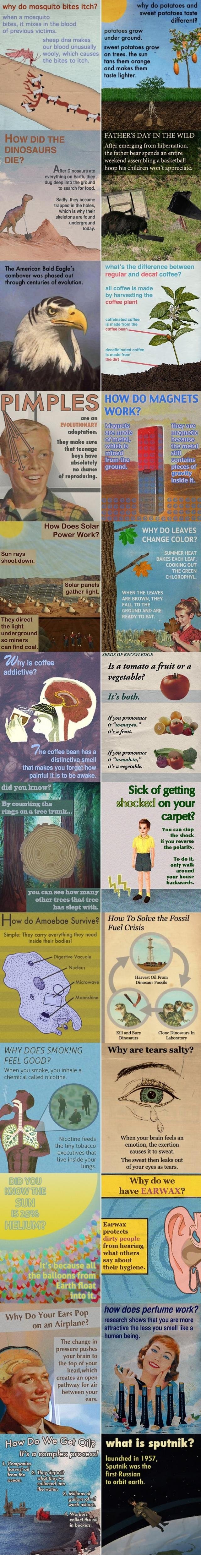 Various science facts.