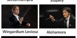 It’s leviosa not leviosar…