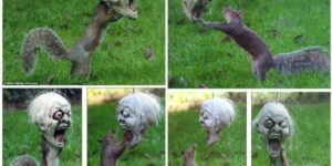 Squirrel plays with Halloween mask hung in yard for kids.