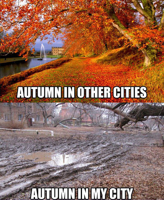 Autumn in my city.