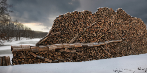 The Art of Stacking Wood