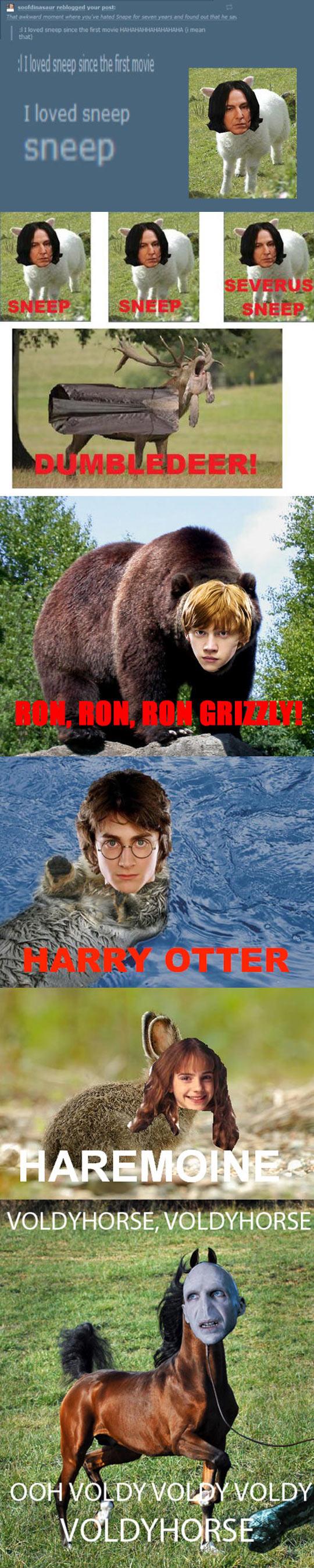 Potter Animal Farm