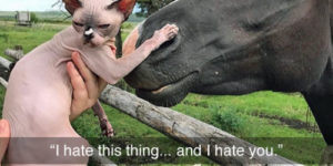 We hates it!