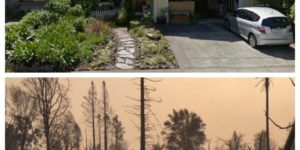 Santa Rosa before and after the fire