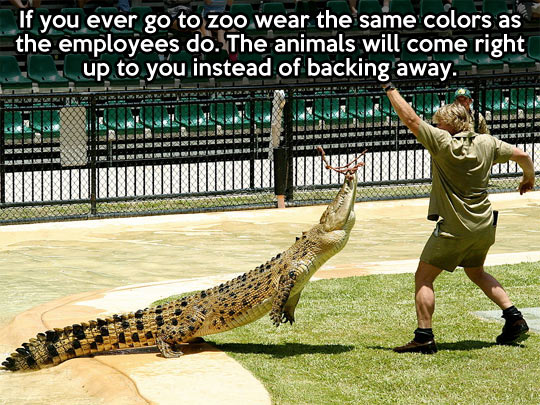 Zoo tip.