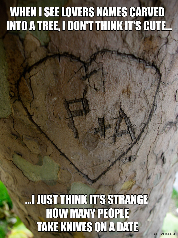 When I see names carved into a tree...