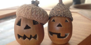 Acorn+Jack-o-lanturns.