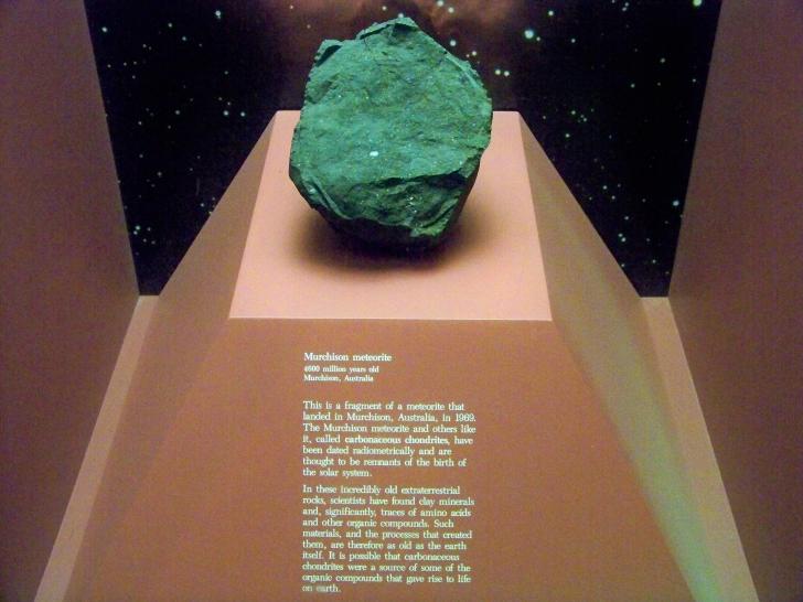 One of the oldest rocks in existence, the Murchison Meteorite. It's 4.5 billion years old, and likely existed before the Earth itself had completely formed. Interestingly, it also contains amino acids, the chemical building blocks of DNA.