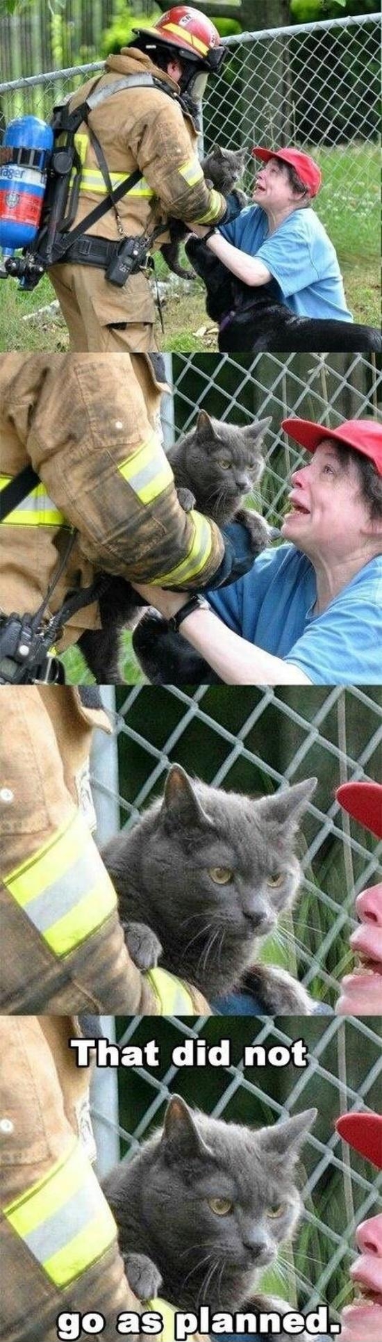 Fireman saves cat from house fire.