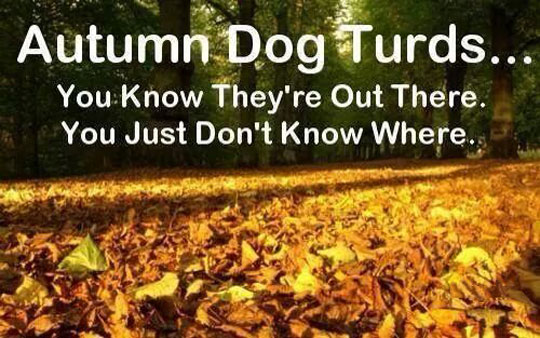 The problem with autumn
