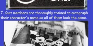 disney employee facts