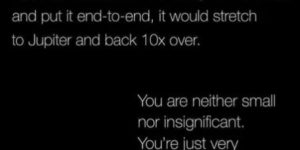 You+are+well+folded.