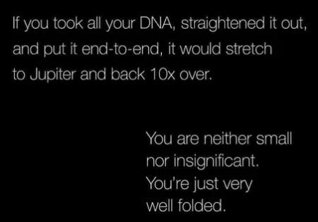 You are well folded.