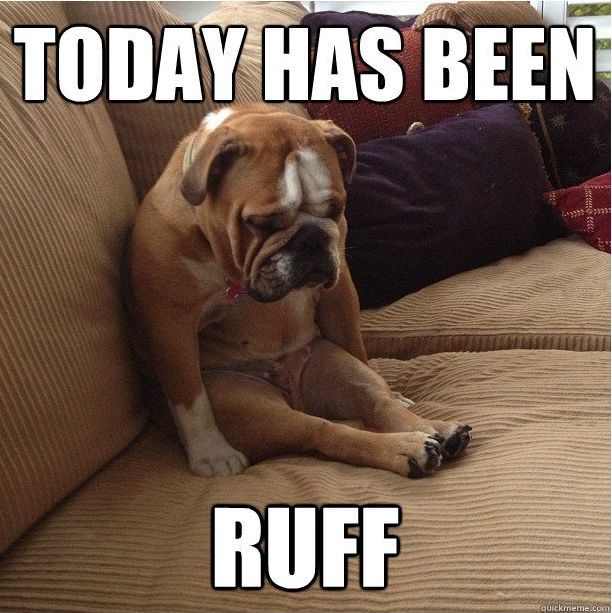 Today has been a ruff day.