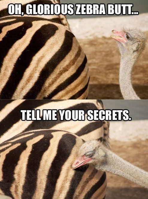 Tell me your secrets.