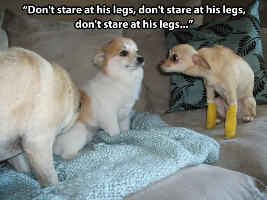 Don't stare at his legs...