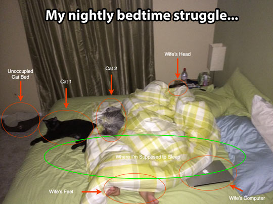 My nightly bedtime struggle.