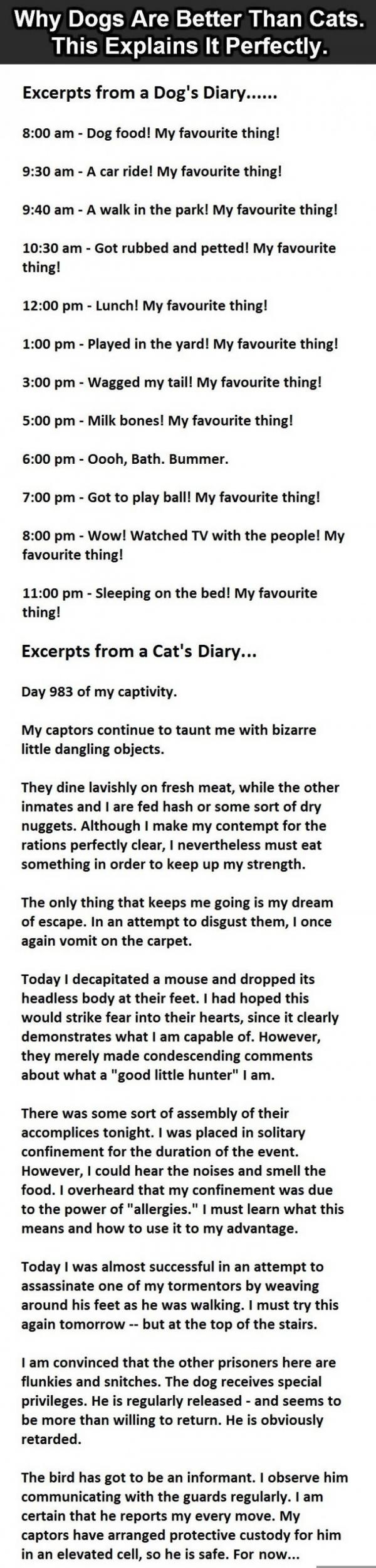 Dogs vs Cats