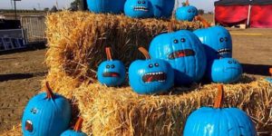 Mr. Meeseeks Pumpkins