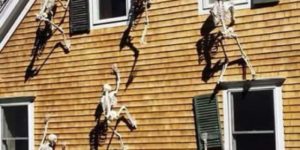 Halloween decorations on point.