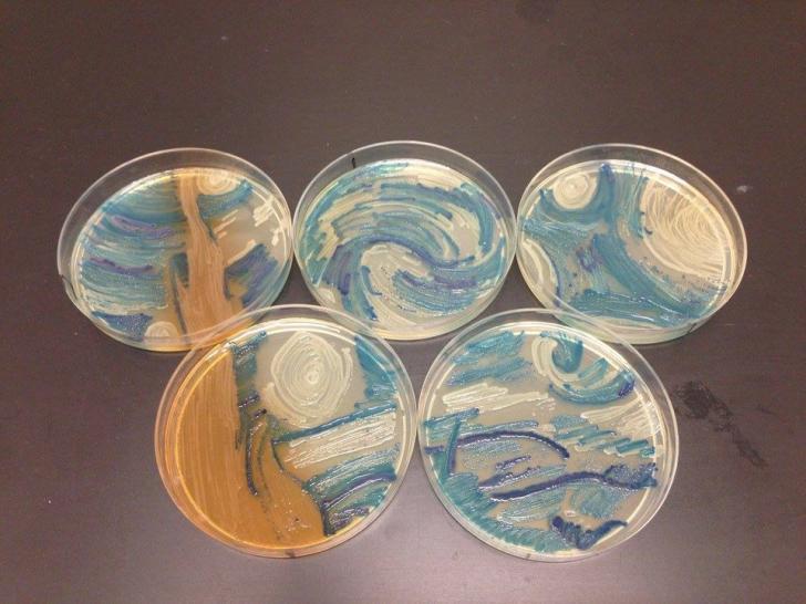 Recreating Starry Night with bacteria.