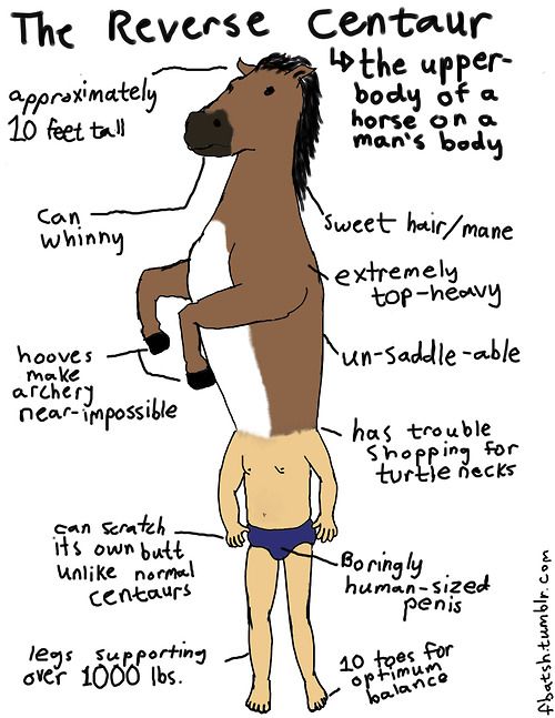 The Reverse Centaur.