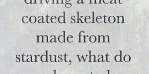 You+are+a+ghost+driving+a+meat+skeleton