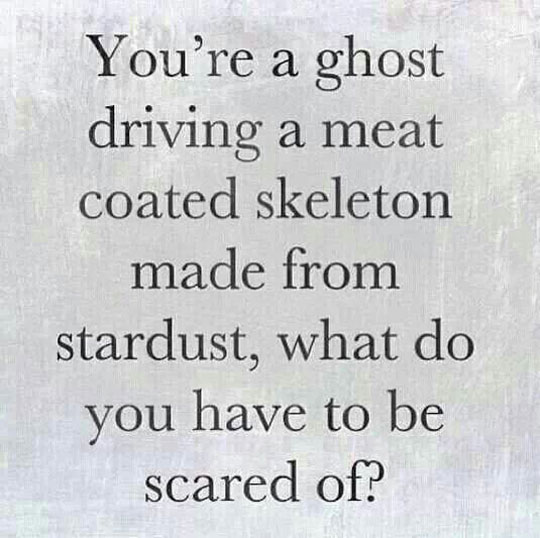 You are a ghost driving a meat skeleton
