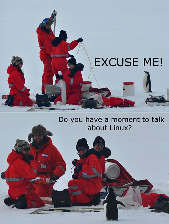 All hail Linus Torvalds!