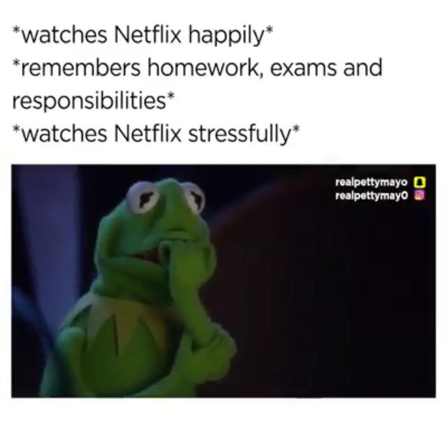 *watches Netflix happily*