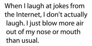 When I laugh at jokes on the internet