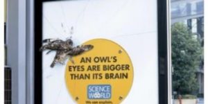 Clever Ads from Science World Part 2