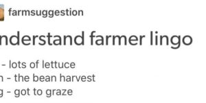 Farmer lingo.