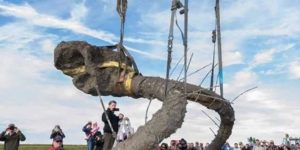 University of Michigan recovering a Woolly Mammoth skull in a farmers field