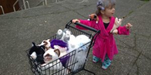 My daughter’s destiny as the crazy cat lady