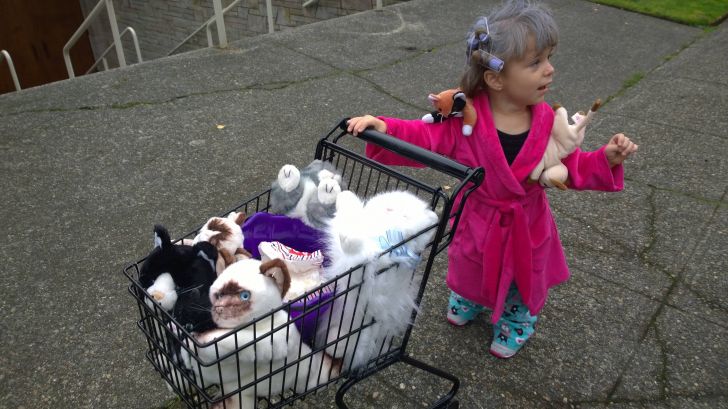 My daughter's destiny as the crazy cat lady
