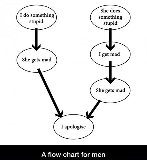 A flow chart for men.