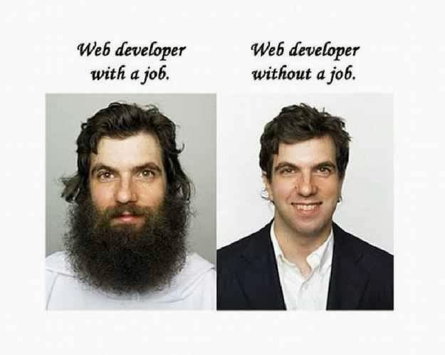 Web Developer VS Employment Status