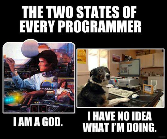 The two states of every programmer