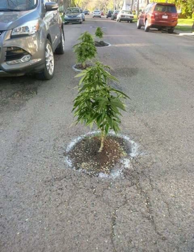 Portland's Pothole Problem is Out of Control