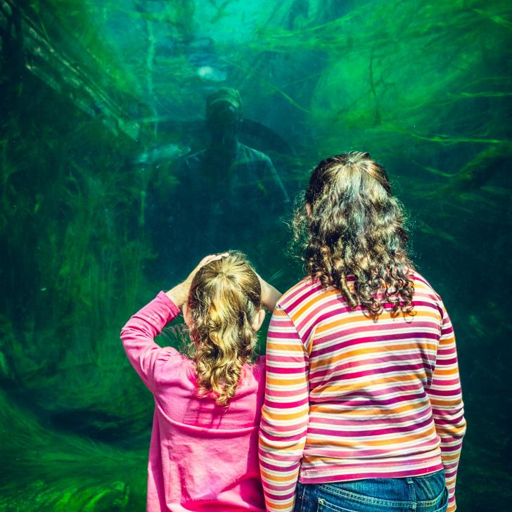 A picture of my kids at the Zoo turned out more like a scene from a horror movie