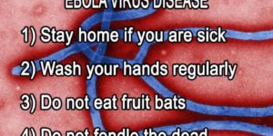 Public health guidelines on ebola